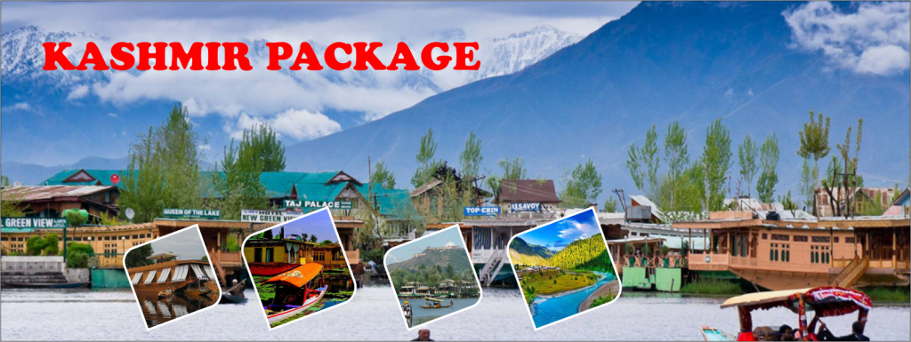 Kashmir -Package from Katra